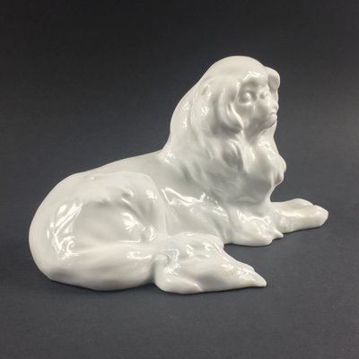 German Japanese Chin Dog Figurine in Porcelain by Erich Hösel for Meissen, 1950s-BMM-1345208