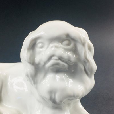 German Japanese Chin Dog Figurine in Porcelain by Erich Hösel for Meissen, 1950s-BMM-1345208