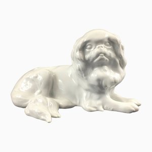 German Japanese Chin Dog Figurine in Porcelain by Erich Hösel for Meissen, 1950s-BMM-1345208