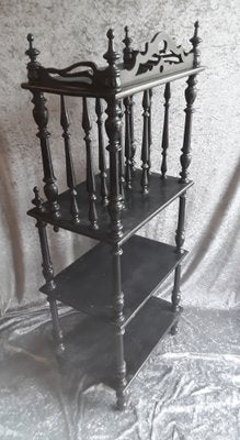 German Newspaper Stand in Black Stained Maple Wood, 1890s-HOI-1821050