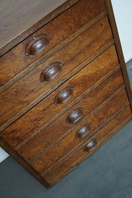 German Oak Apothecary Cabinet, Mid-20th Century-XO-844076