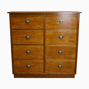 German Oak Apothecary Cabinet, Mid-20th Century-XO-834198