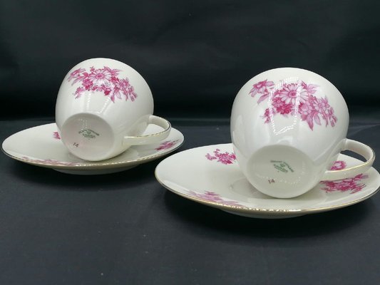 German Porcelain Coffee Service for 12 by Johann Haviland, Bavaria, Set of 15-OZS-1368500