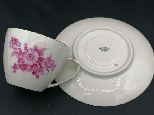 German Porcelain Coffee Service for 12 by Johann Haviland, Bavaria, Set of 15-OZS-1368500