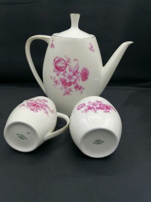 German Porcelain Coffee Service for 12 by Johann Haviland, Bavaria, Set of 15-OZS-1368500