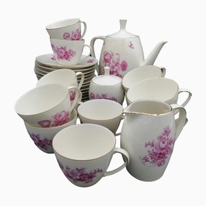 German Porcelain Coffee Service for 12 by Johann Haviland, Bavaria, Set of 15-OZS-1368500