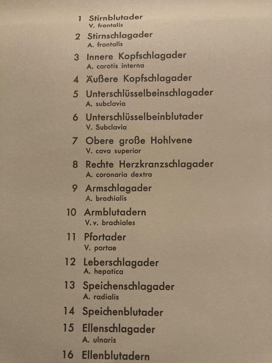 German Pull-Down Chart of the Human Body, Blood Circulation, Germany, 1960