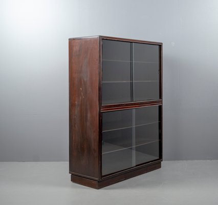 German Rosewood Showcase from Rincklake, 1920-VLO-1105780