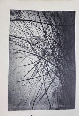 Gianni Saccomandi, Variations In the Ether, 1974, Lithograph-ZCI-832254