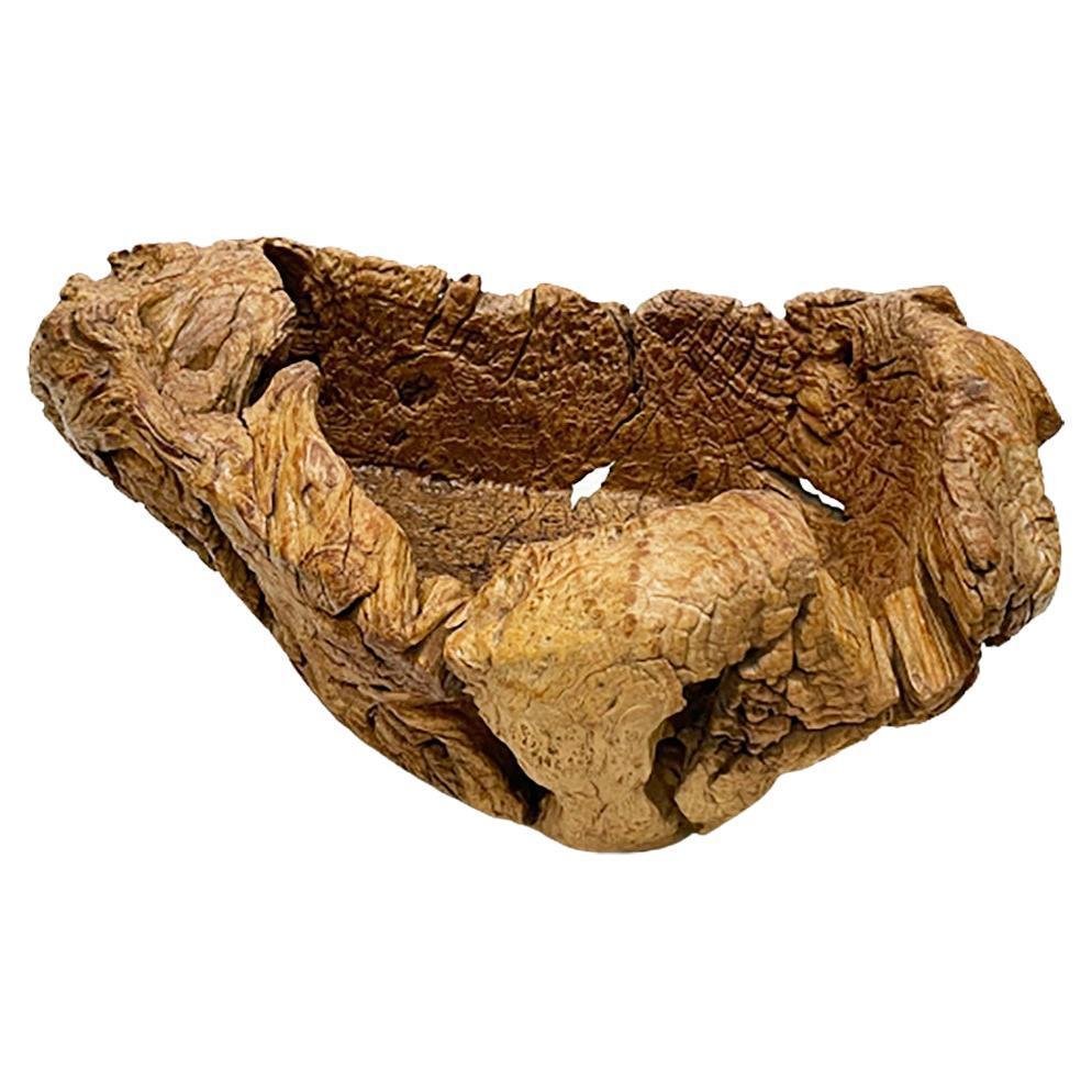 Gigantic Large Burl Wood Organically Shaped and Hand Carved Bowl