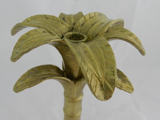 Gilded Bronze Palm Tree Candleholder, 1980s-RIU-589470