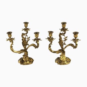 Gilded Bronze Rocaille Candelabras, Set of 2-WMV-1129333