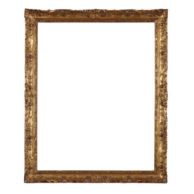 Gilt Frame Carved with Rococo Phytomorphic and Floral Motifs-VMM-2034138