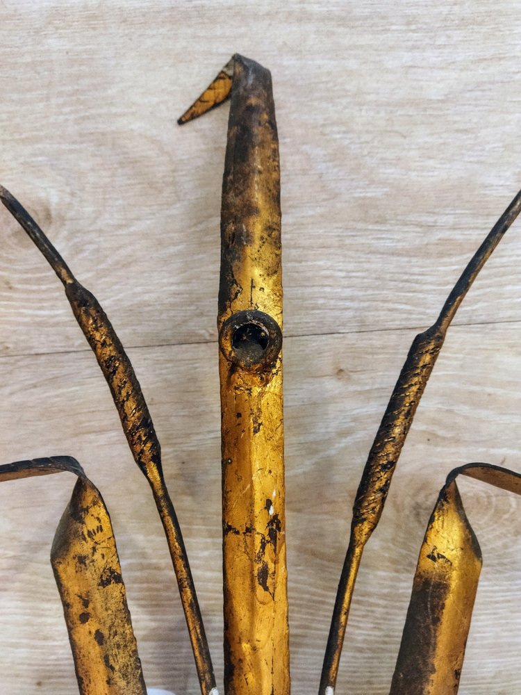 Gilt Iron Wall Light with Vegetable Motifs, Spain, 1950s