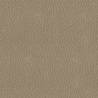 Taupe 9162