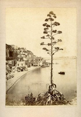 Giorgio Sommer, No. 6418, View of Posillipo, Albumen Print, 1880s-ZCI-871557