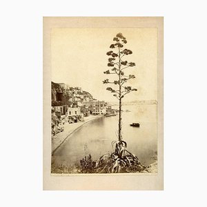 Giorgio Sommer, No. 6418, View of Posillipo, Albumen Print, 1880s-ZCI-871557