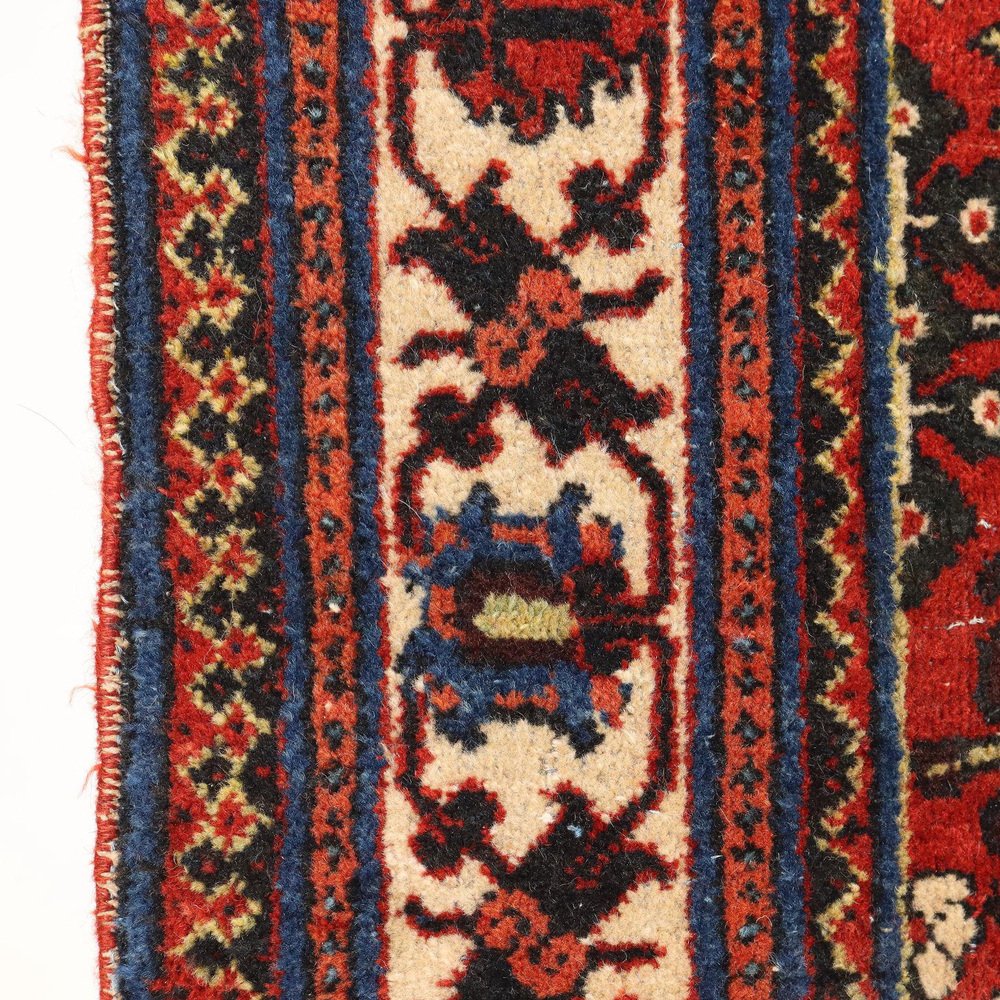 Gioshagan Rug in Cotton & Wool Thin Knot, Middle East