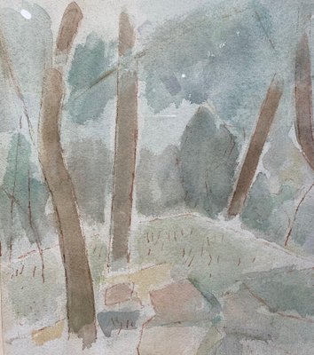 Giulio Da Milano, Undergrowth Forest, Trees, Greenery Watercolor, 1929-QUE-944012