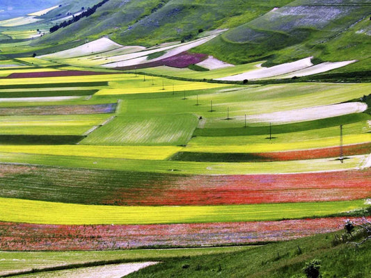 Giuseppe Marani, Nuances, Photograph, 2010s