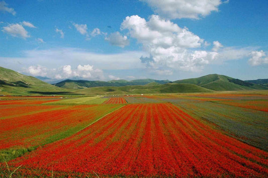 Giuseppe Marani, Red Slopes, Photograph, 2010s