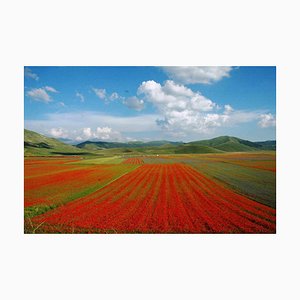 Giuseppe Marani, Red Slopes, Photograph, 2010s-ZCI-1762173