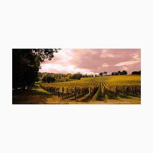 Giuseppe Marani, The Grandfather's Vineyard, Photograph, 2010s-ZCI-1762165