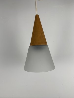 Glass and Teak Pendant Light from Es Horn, Denmark, 1980s-NJY-2042805