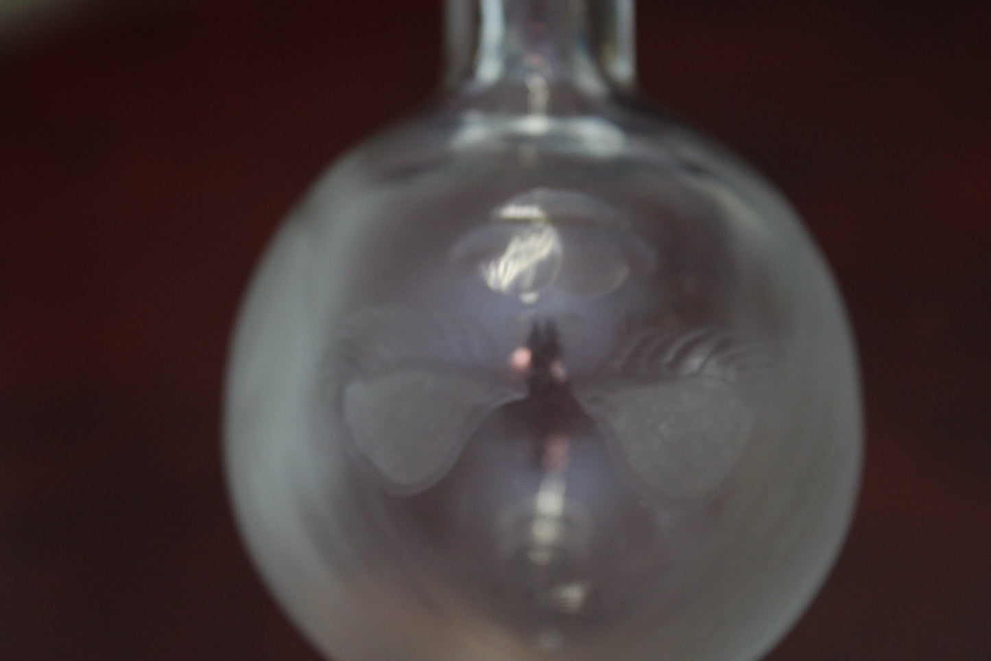 Glass Carafe with Decorative Etching Face from Riedel, 1950s