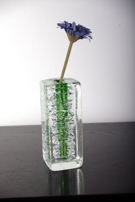 Glass Vase by František Vízner for Sklárny Škrdlovice-ALG-843741