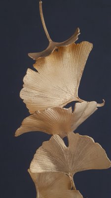 Golden Gingko 7 Leaves by Kuno Vollet-MDB-1803544