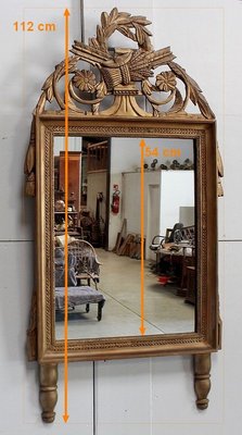 Golden Wood Louis XVI Style Mirror, 19th Century-RVK-912085