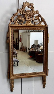 Golden Wood Louis XVI Style Mirror, 19th Century-RVK-912085