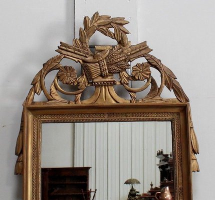 Golden Wood Louis XVI Style Mirror, 19th Century-RVK-912085