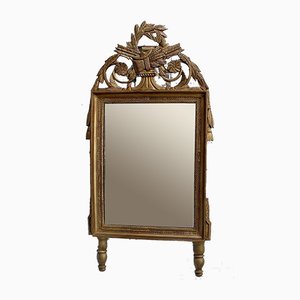 Golden Wood Louis XVI Style Mirror, 19th Century-RVK-912085