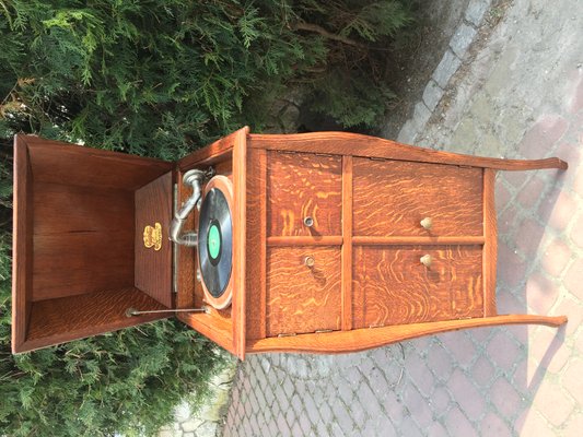 Gramophone in a Cabinet from Jupiter Mark Bevete, 1920s-WQQ-618556