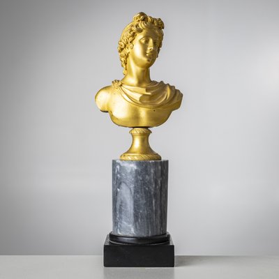 Grand Tour Bust of Apollo Belvedere, 19th Century, Bronze on Marble Base-VEI-2021312