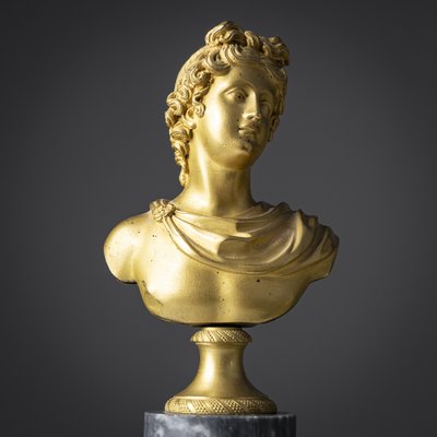 Grand Tour Bust of Apollo Belvedere, 19th Century, Bronze on Marble Base-VEI-2021312