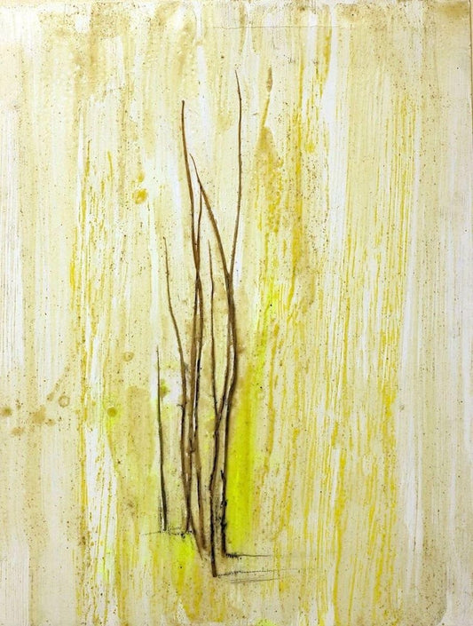 Grass Marks - wax pigments and grass blades - by Claudio Palmieri - 2010 2010