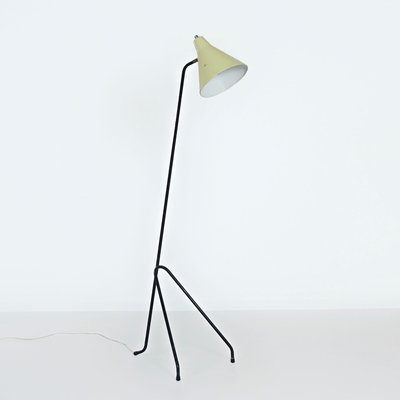 Grasshopper Floor Lamp by Willem Van Doorn, 1960s-ZT-2016795