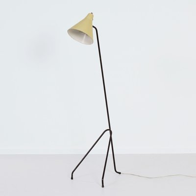 Grasshopper Floor Lamp by Willem Van Doorn, 1960s-ZT-2016795