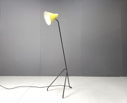 Grasshopper Floor Lamp by Willem Van Doorn, 1960s-IRH-2027051