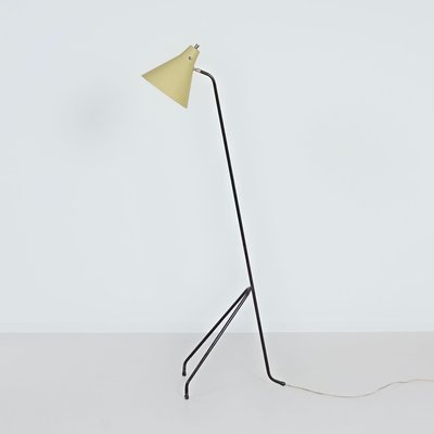 Grasshopper Floor Lamp by Willem Van Doorn, 1960s-ZT-2016795