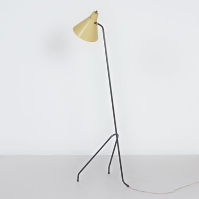 Grasshopper Floor Lamp by Willem Van Doorn, 1960s-ZT-2016795