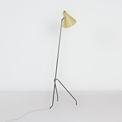 Grasshopper Floor Lamp by Willem Van Doorn, 1960s-ZT-2016795