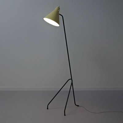 Grasshopper Floor Lamp by Willem Van Doorn, 1960s-ZT-2016795