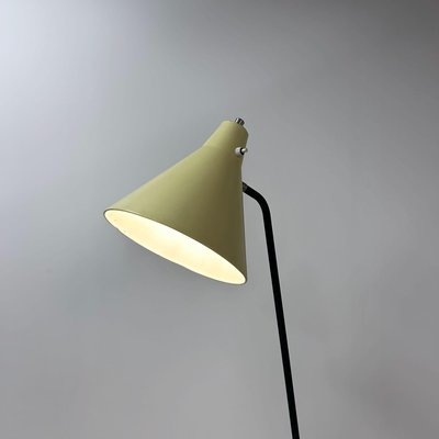 Grasshopper Floor Lamp by Willem Van Doorn, 1960s-ZT-2016795