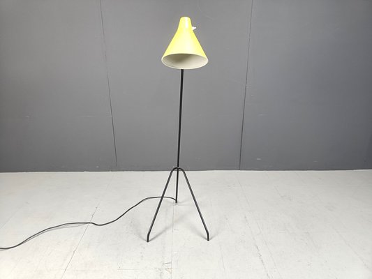 Grasshopper Floor Lamp by Willem Van Doorn, 1960s-IRH-2027051