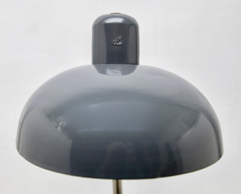 Gray Adjustable Desk or Side Table Lamp from SIS, 1950s-MJY-1148902