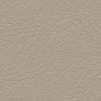 Gray Parrot (FE4078)